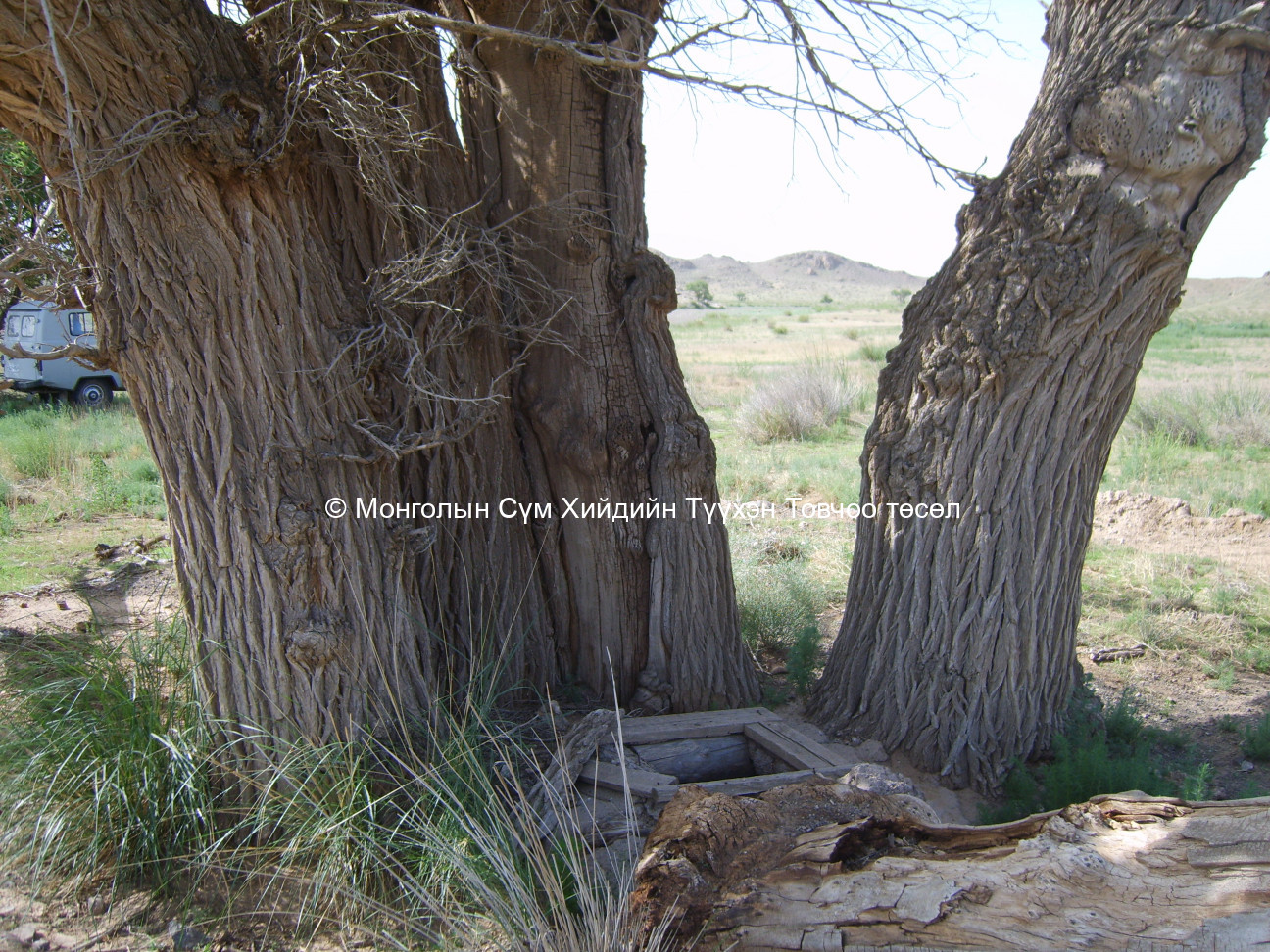 Таван модны хурлын туурь хийдийн хажууд байдаг 5-н